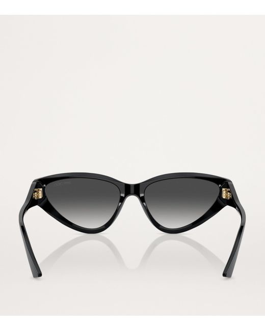 Jimmy Choo Black Acetate Jc5019 Sunglasses