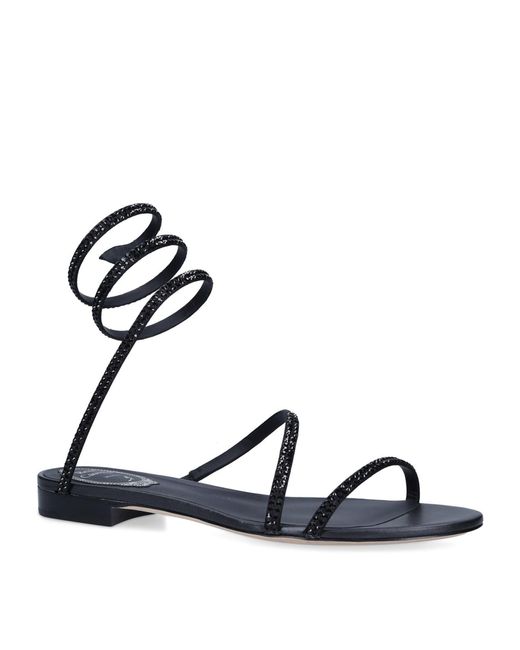 rene caovilla cleo black