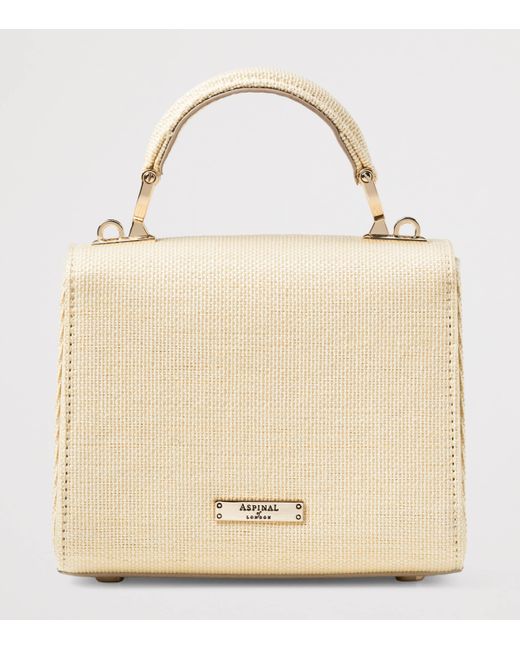 Aspinal Metallic Mini Raffia Floral Embroidery Mayfair Bag