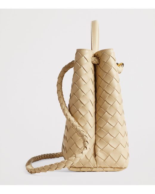 Bottega Veneta Metallic Medium Leather Andiamo Shoulder Bag