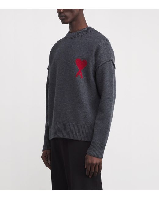 AMI Blue Sweater for men