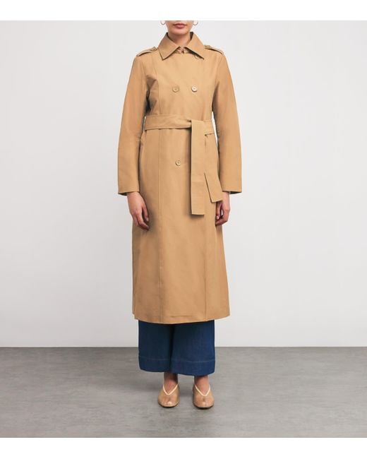 MAX&Co. Natural Cotton-Blend Trench Coat