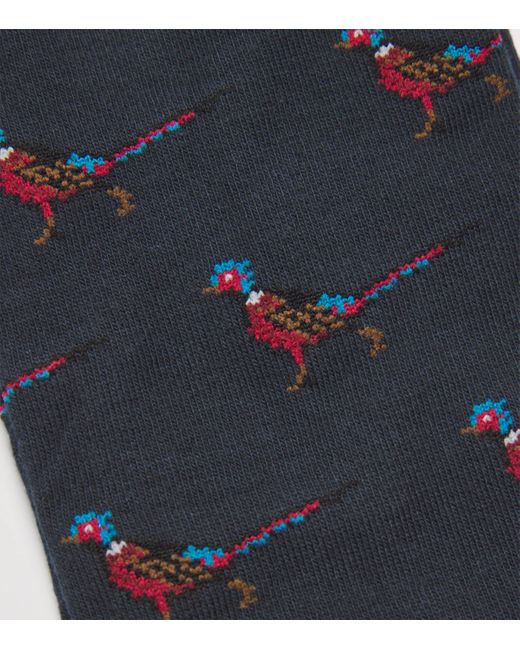 Barbour Blue Pheasant Print Mavin Socks for men