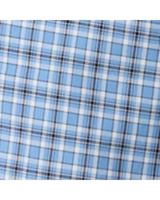 Miu Miu Blue Cotton Poplin Check Shorts