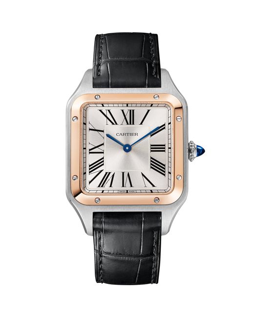 Cartier Gray Large And Sapphire Santos-Dumont Watch