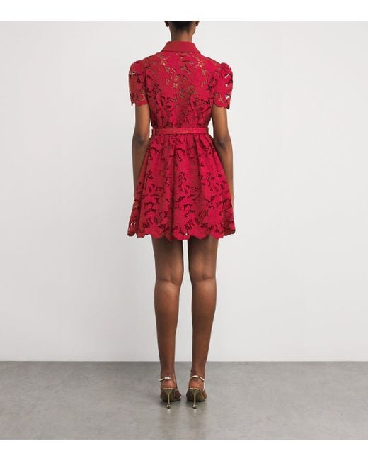 chinese dress ladies The Bailey Fitted Red Dress with Lace Details 2 main image 0