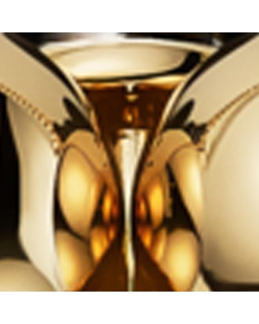 Cartier Metallic Extra Large And Onyx Clash De Flexible Necklace