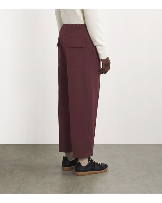 Jil Sander Purple Pleated Straight Trousers for men