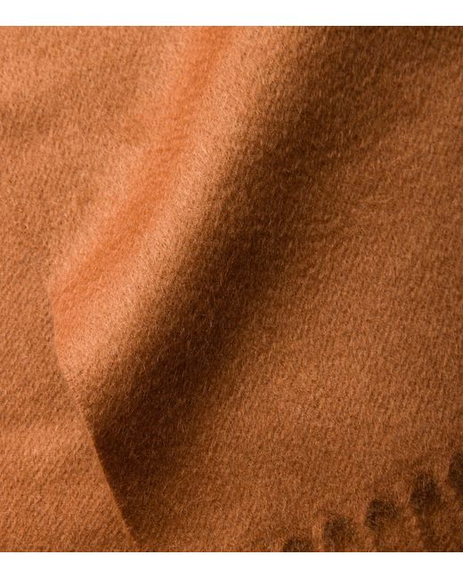 Prada Brown Cashmere Logo Scarf for men