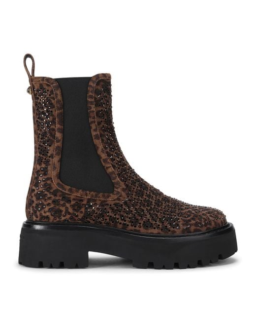 Kurt Geiger Black Suede Perf Ankle Chelsea Boots