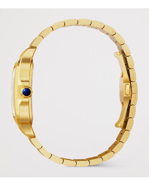 Cartier Metallic Large Santos De Skeleton Watch for men