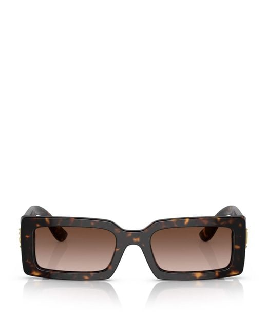 Dolce & Gabbana Brown Acetate Rectangle Sunglasses