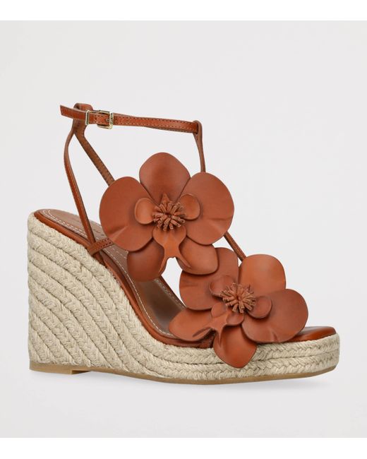 Zimmermann Brown Leather Orchid Wedges 110