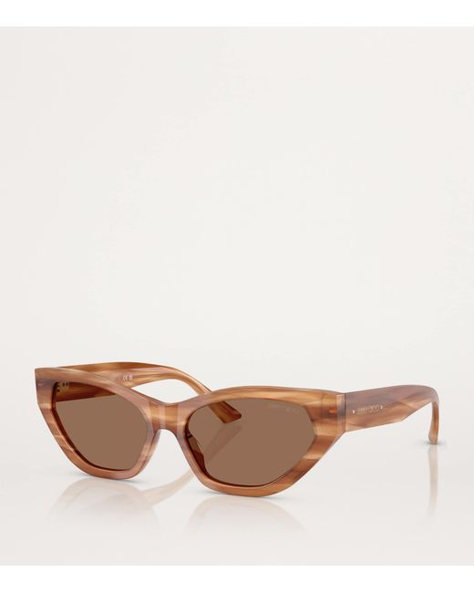Jimmy Choo Brown Acetate Jc5022B Sunglasses