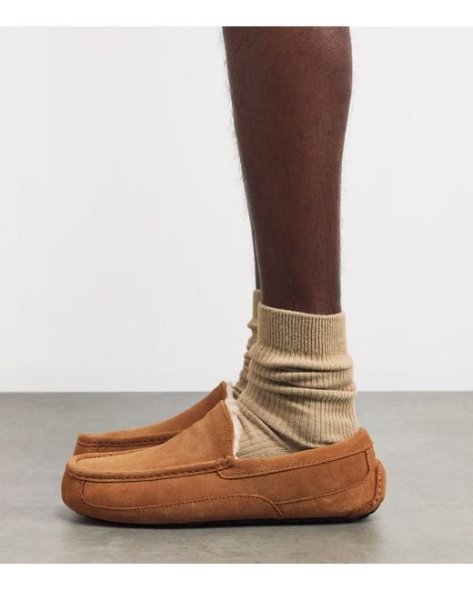 Ugg Brown Ascot Slipper for men