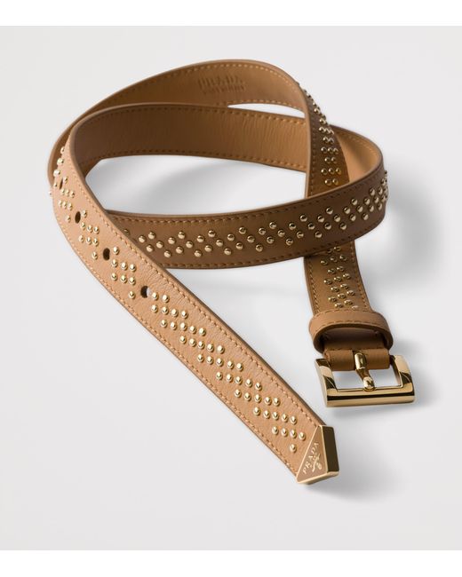 Prada Brown Leather Studded Belt