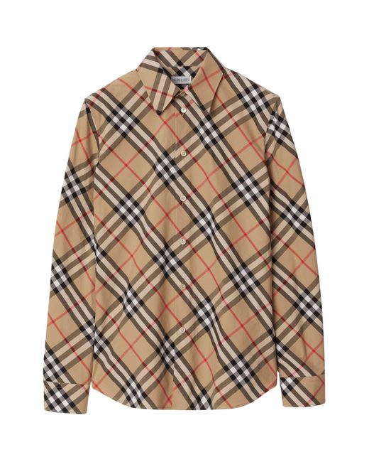 Burberry Brown Shirts