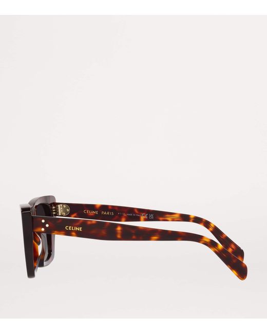 Céline Brown Acetate 0Cl000324 Sunglasses