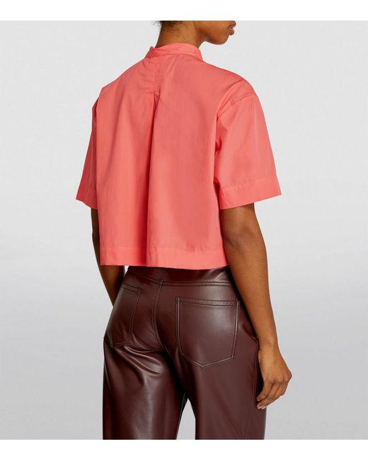 MAX&Co. Red Cotton Poplin Cropped Shirt