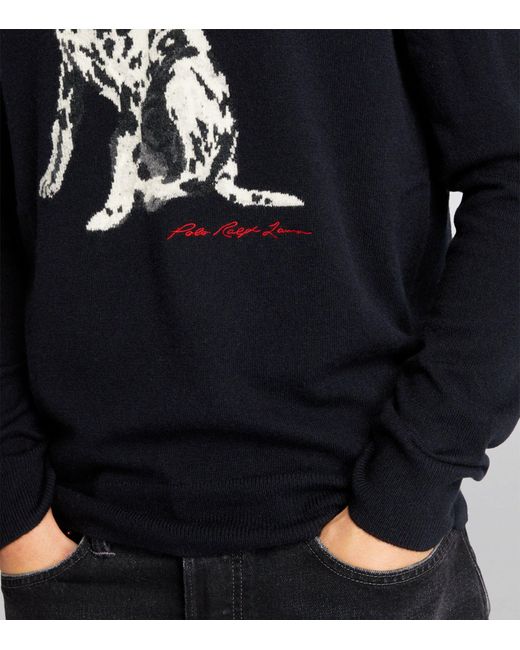 Polo Ralph Lauren Black Cashmere Dalmatian Sweater for men