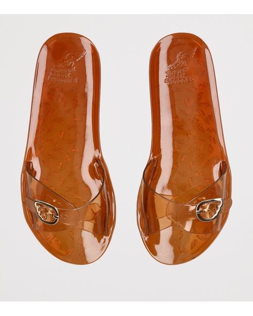 Ancient Greek Sandals Brown Jelly Filia Sandals
