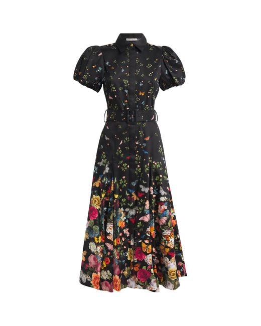 Alice + Olivia Black Cotton-Blend Floral Henrietta Midi Dress
