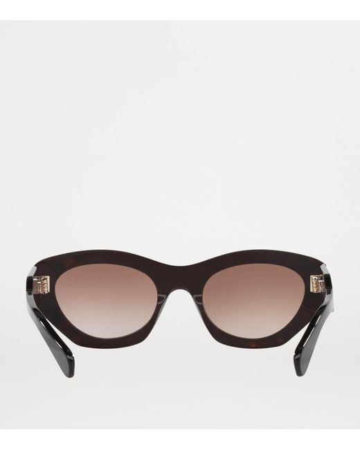Chloé Brown Acetate Ch0220S Sunglasses