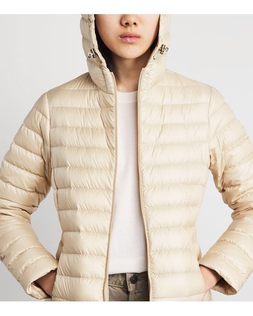 Moncler Natural Down Quilted Igelhood Jacket