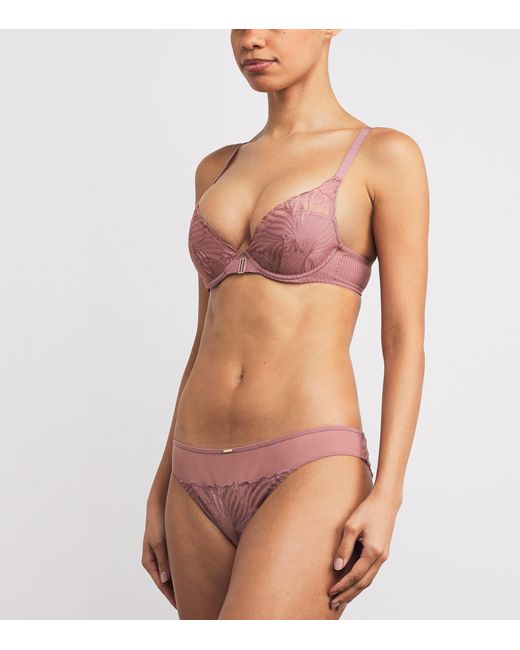 Chantelle Pink Lace Legend Tanga Briefs