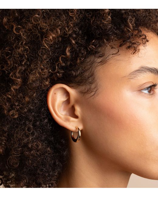 Astrid & Miyu Metallic Medium-Plated Dome Hoop Earrings