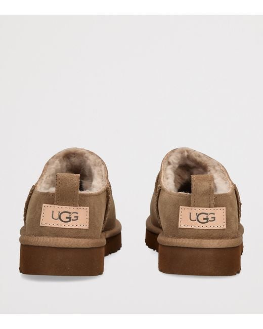 Ugg Brown Suede Classic Micro Boots