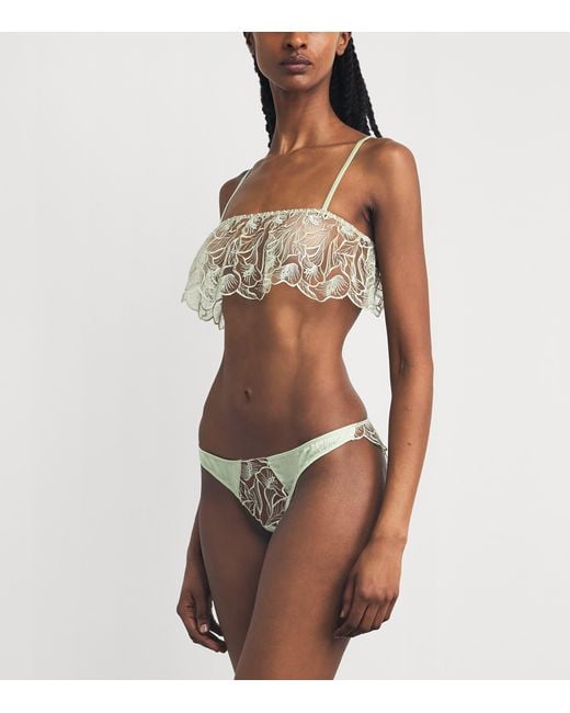 Kiki de Montparnasse Green Lace Calla Lily Briefs