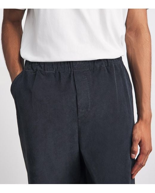 Barena Blue Stretch-Cotton Pleated Straight Trousers for men
