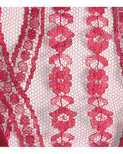 Coco De Mer Pink Lace Renata Suspenders