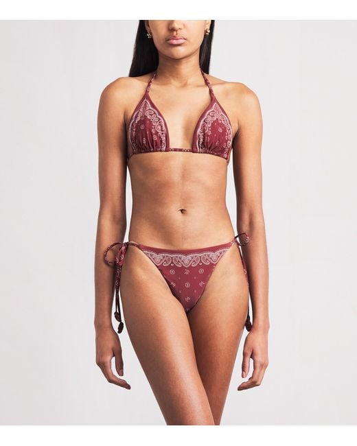 Devon Windsor Red Bandana Print Eadie Bikini Briefs