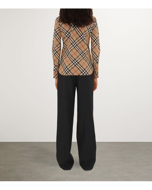 Burberry Brown Shirts