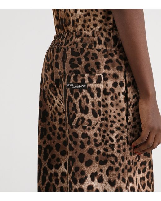 Dolce & Gabbana Brown Fleece Leopard Print Trousers