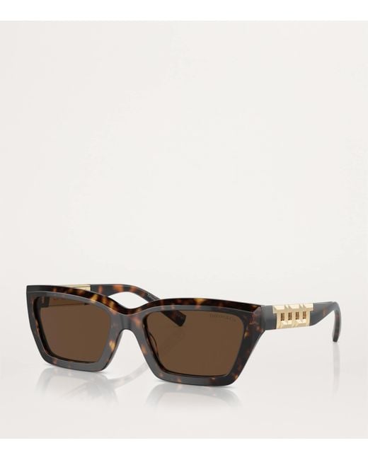 Tiffany & Co Brown Acetate Rectangular Sunglasses