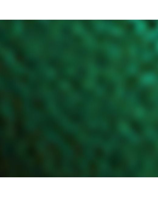 Bottega Veneta Green Lambskin Intrecciato Dog Charm