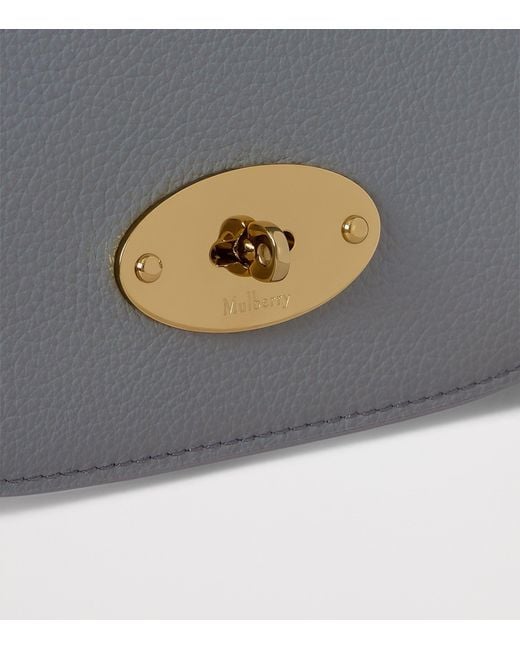 Mulberry Gray Small Leather Darley Shoulder Bag