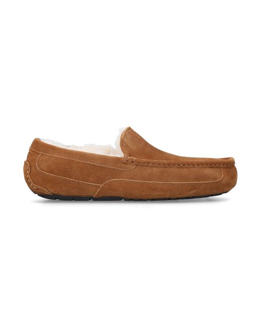 Ugg Brown Ascot Slipper for men