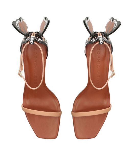 Sophia Webster Brown Leather Butterfly Chiara Sandals 60