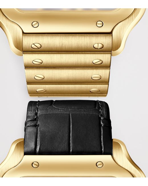 Cartier Metallic Large Santos De Skeleton Watch for men
