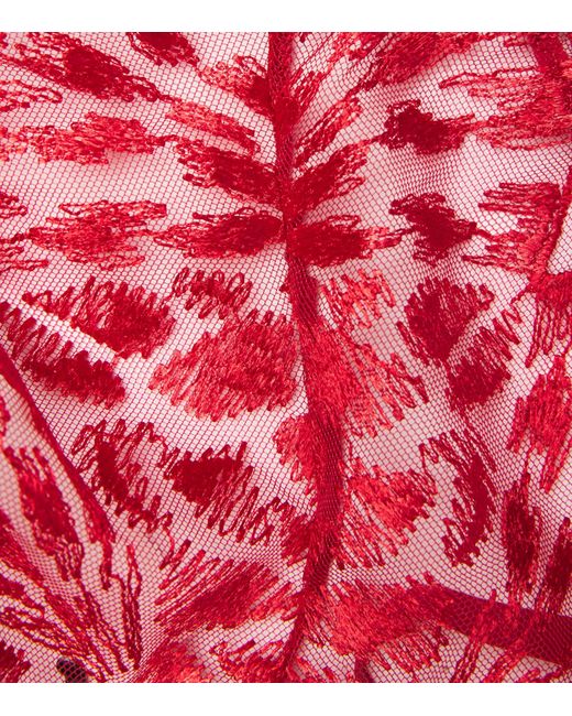 Aubade Red Cotton Crazy