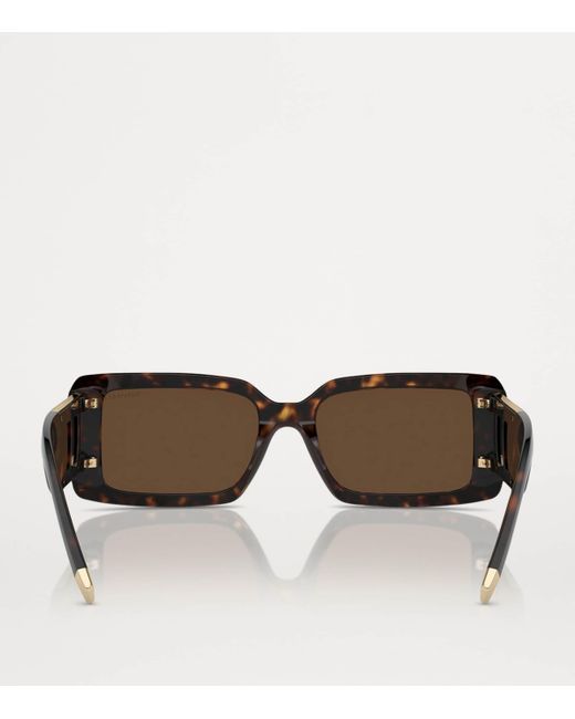 Tiffany & Co Brown Acetate Tf4197 Sunglasses