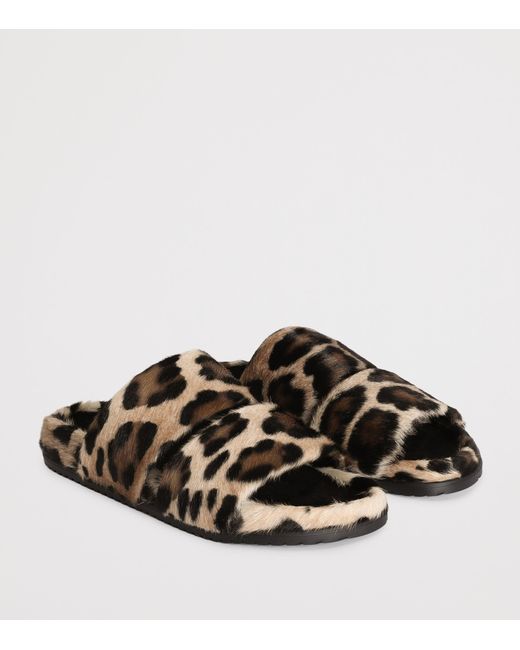 Dolce & Gabbana Brown Leather Leopard Print Slides for men