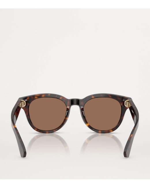 Burberry Brown Acetate Round Sunglasses for men