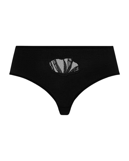 Hanro Black Cotton Lace-Detail Rosaria Briefs