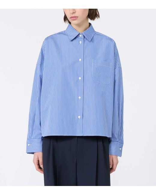 Weekend by Maxmara Blue Cotton Stripe Cropped Shirt