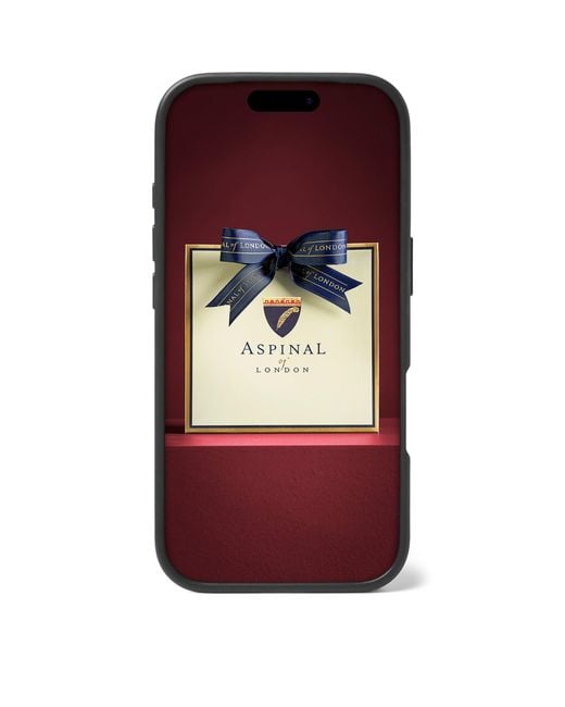 Aspinal Black Grained Leather Iphone 17 Pro Case